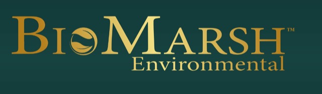 intelligent technology solutions